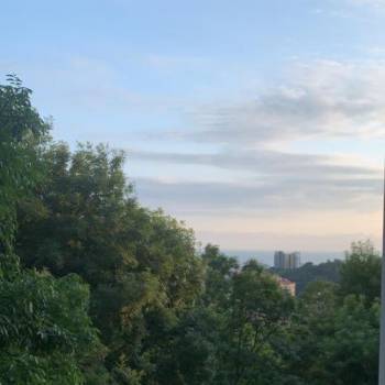 Сдается 2-х комнатная квартира, 35 м²