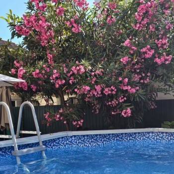 Сдается 2-х комнатная квартира, 45 м²