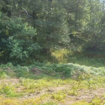 Продается Участок, 1000 м²