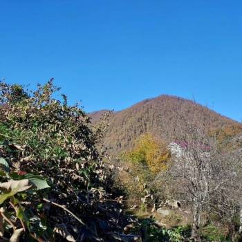 Продается Участок, 600 м²