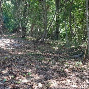 Продается Участок, 500 м²