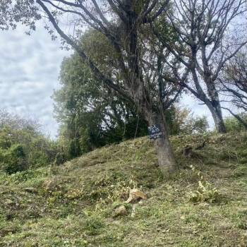 Продается Участок, 800 м²