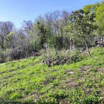 Продается Участок, 710 м²