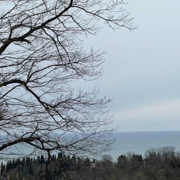 Продается Участок, 2250 м²