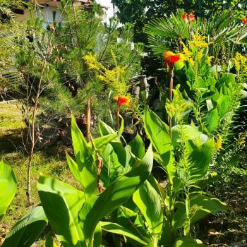 Продается Дом, 220 м²