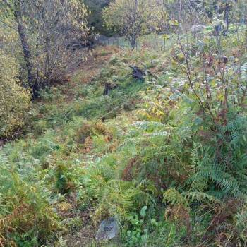 Продается Участок, 800 м²