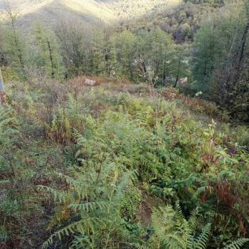 Продается Участок, 800 м²