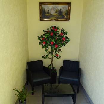 Сдается 1-комнатная квартира, 20 м²