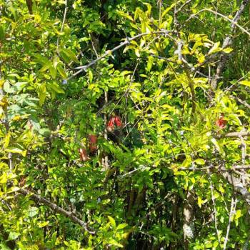 Продается Участок, 550 м²