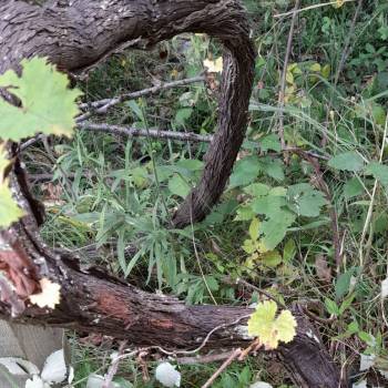 Продается Участок, 550 м²