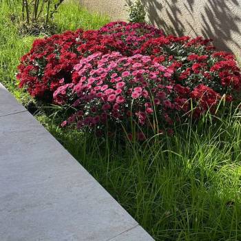 Продается Дом, 274 м²