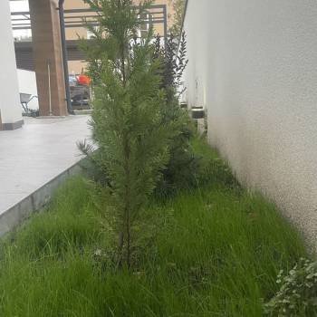 Продается Дом, 274 м²