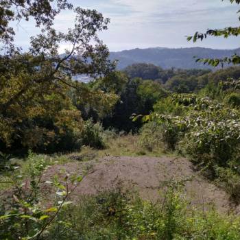 Продается Участок, 590 м²