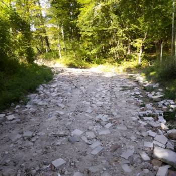 Продается Участок, 590 м²