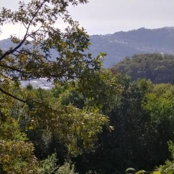 Продается Участок, 590 м²