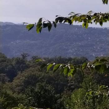 Продается Участок, 590 м²