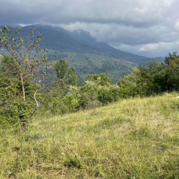 Продается Участок, 1300 м²