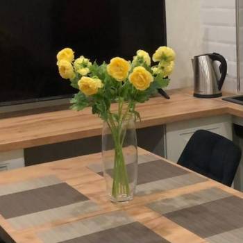 Продается 1-комнатная квартира, 31 м²