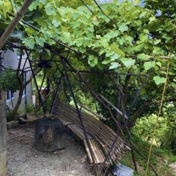 Сдается Комната, 20 м²