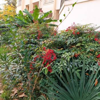 Сдается Многокомнатная квартира, 70 м²