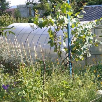 Продается Участок, 430 м²