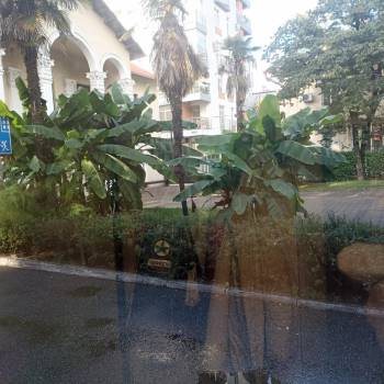 Продается 1-комнатная квартира, 21,5 м²