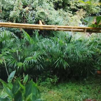 Продается 1-комнатная квартира, 32,3 м²