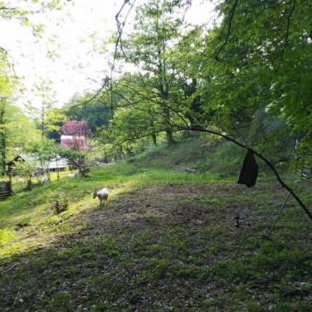 Продается Участок, 750 м²