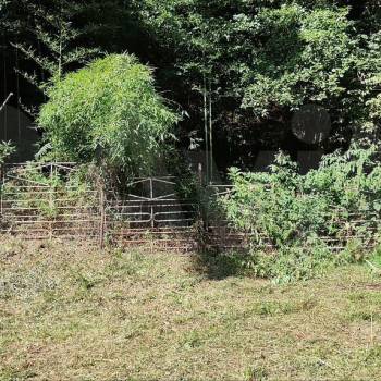 Продается Участок, 750 м²