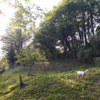 Продается Участок, 750 м²