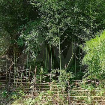 Продается Участок, 750 м²