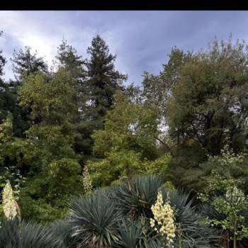 Продается 2-х комнатная квартира, 48,7 м²