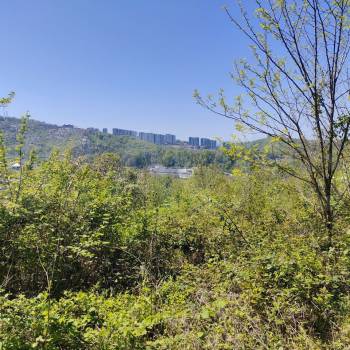 Продается Участок, 600 м²