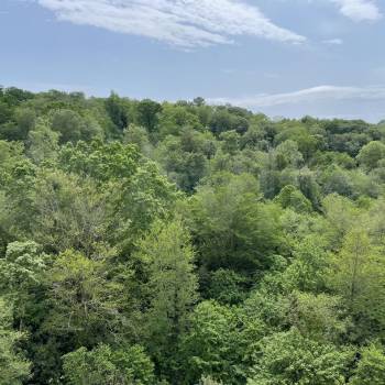 Продается 1-комнатная квартира, 42 м²