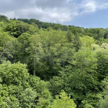 Продается 1-комнатная квартира, 42 м²