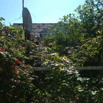 Сдается Комната, 50 м²