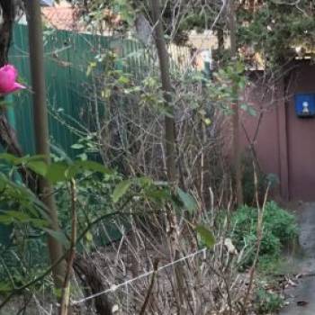 Продается Участок, 450 м²