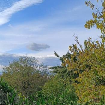 Продается Участок, 1000 м²