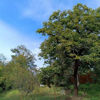 Продается Участок, 1000 м²