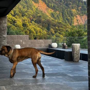 Продается Дом, 520 м²