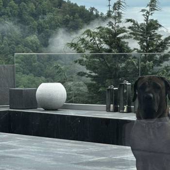 Продается Дом, 520 м²