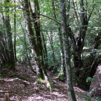 Продается Участок, 700 м²