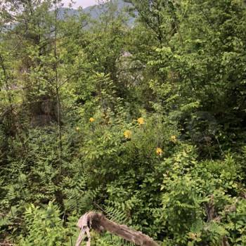 Продается Участок, 700 м²