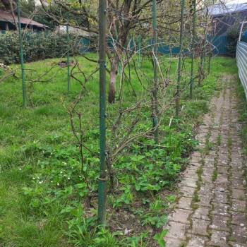 Продается Участок, 450 м²