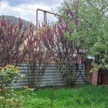 Продается Участок, 450 м²