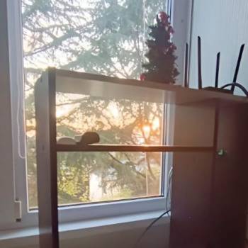 Сдается 1-комнатная квартира, 15 м²