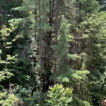 Продается Многокомнатная квартира, 70,9 м²