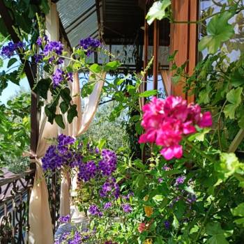 Сдается Комната, 28 м²