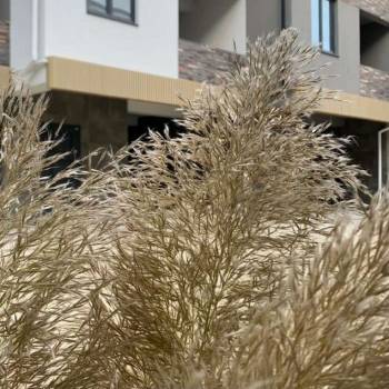 Продается Дом, 165 м²