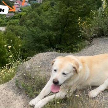 Продается Дом, 120 м²